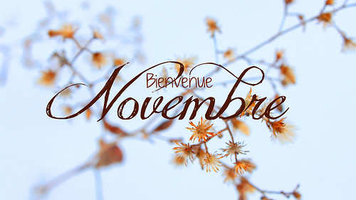 You are currently viewing Newsletter de Novembre !