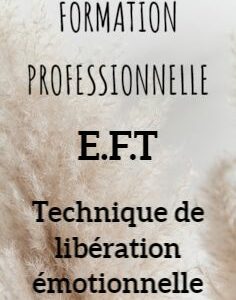 FORMATION E.F.T pour les PROFESSIONNELS – 29 et 30 septembre + 20 et 21 octobre 2022